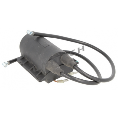 Generator iskry zapłonowej iskrownik DBW : 388815 , 1319391A