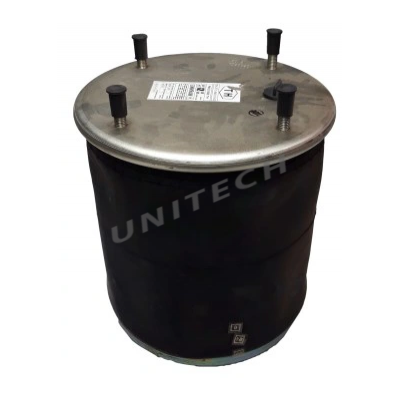 PODUSZKA MIECH ZAWIESZENIA KOMPLETNA SAF, ROR : 813MB , 1D28B2